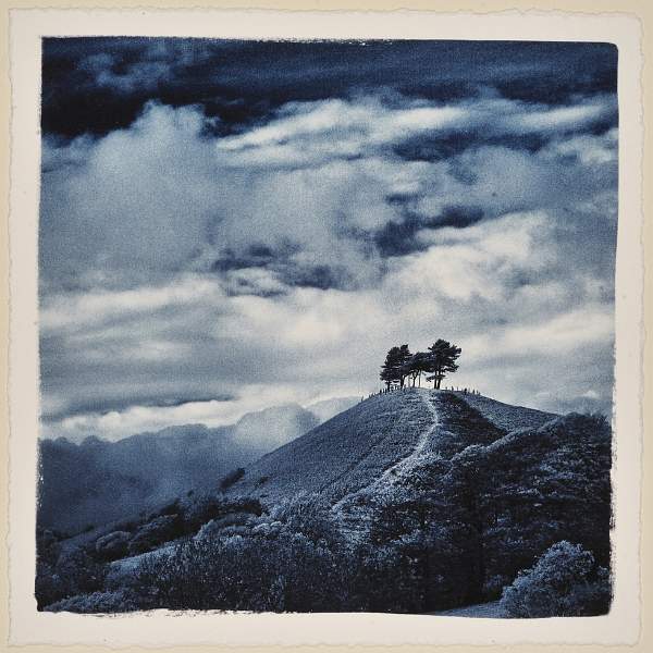 David Robinson - Colmers Hill Bridport.jpg